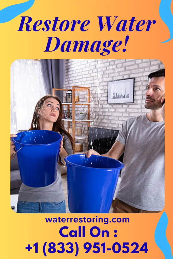 water restoration Zenith Water Removal Brothers Covington