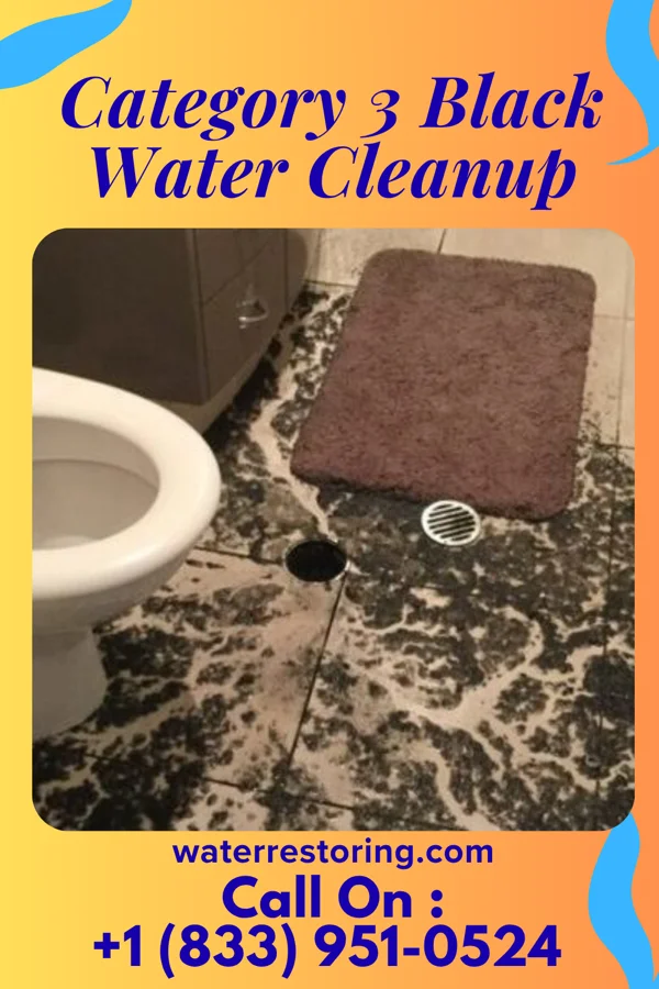 Category 3 Black Water Cleanup in Covington, OK